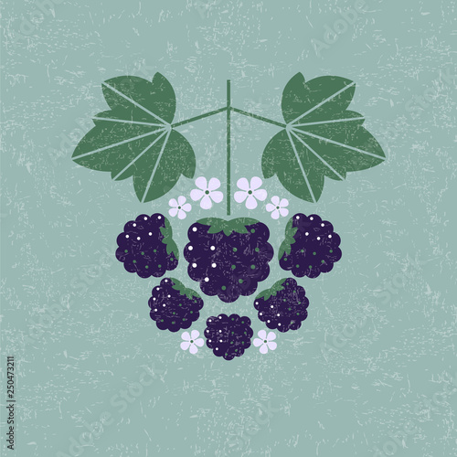 Blackberries illustration. Blackberry with leaves and flowers on shabby background. Flat design. Original simple flat illustration.