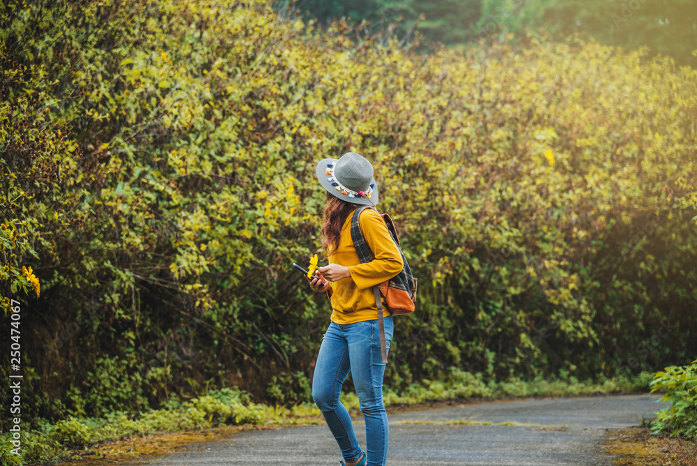 Asian tourist nature, relaxing enjoying the fresh beauty Bua Tong flower yellow. 