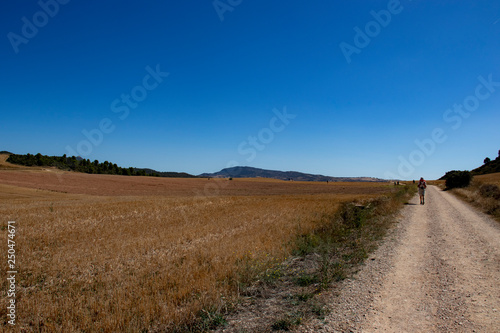 Sendero de camino de santiago junto a un campo con varios peregrinos caminando
