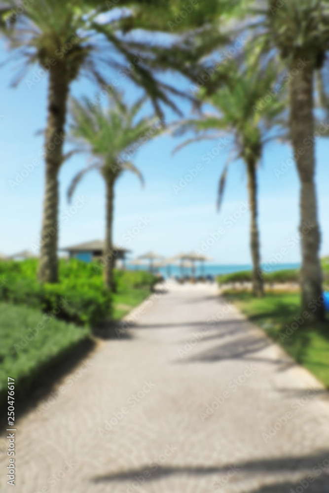 Blurred view of palm alley leading to tropical beach
