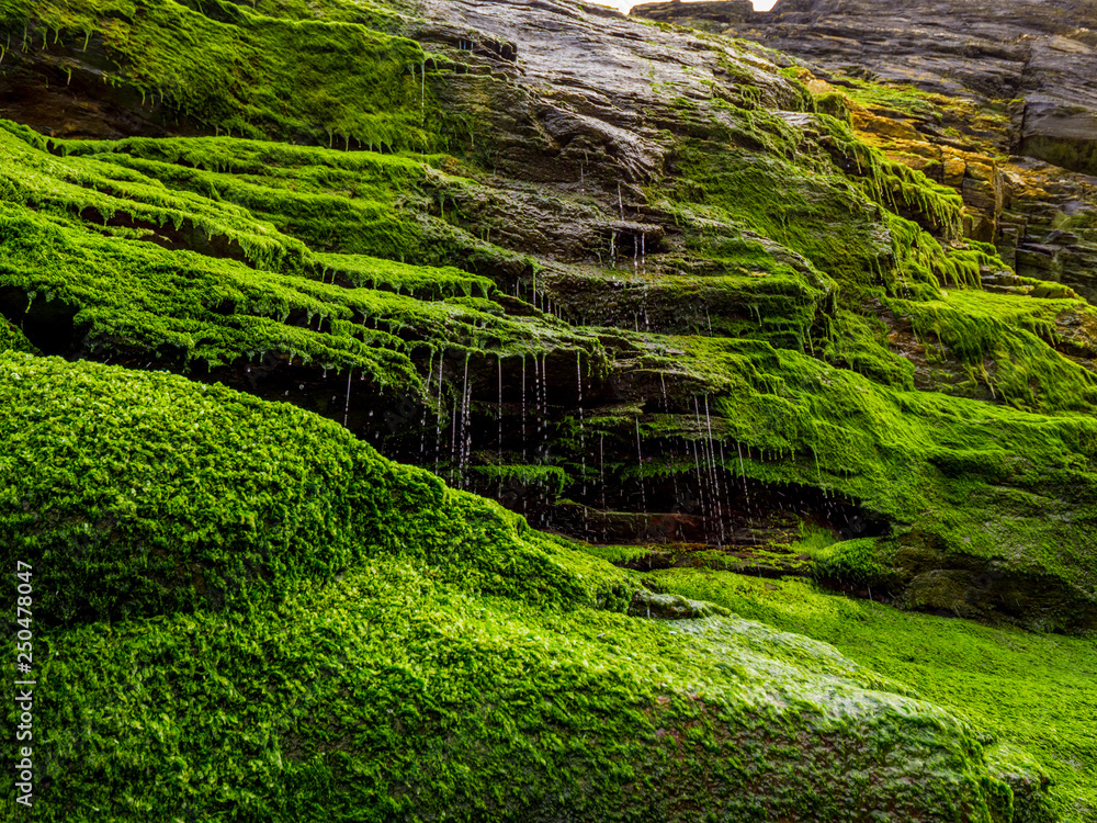 Mossy rocks and waterfall at the Cove of Tintagel in Cornwall Mossy rocks and waterfall at the Cove of Tintagel in Cornwall