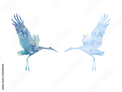 Watching hand painted sky through storks. Silhouette of two flying birds isolated on white