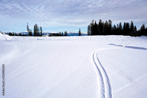 ski tracks in snow