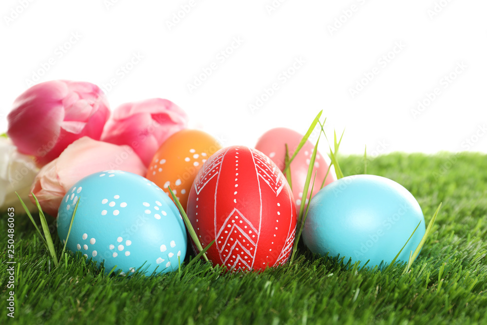 Colorful painted Easter eggs and spring flowers on green grass against white background