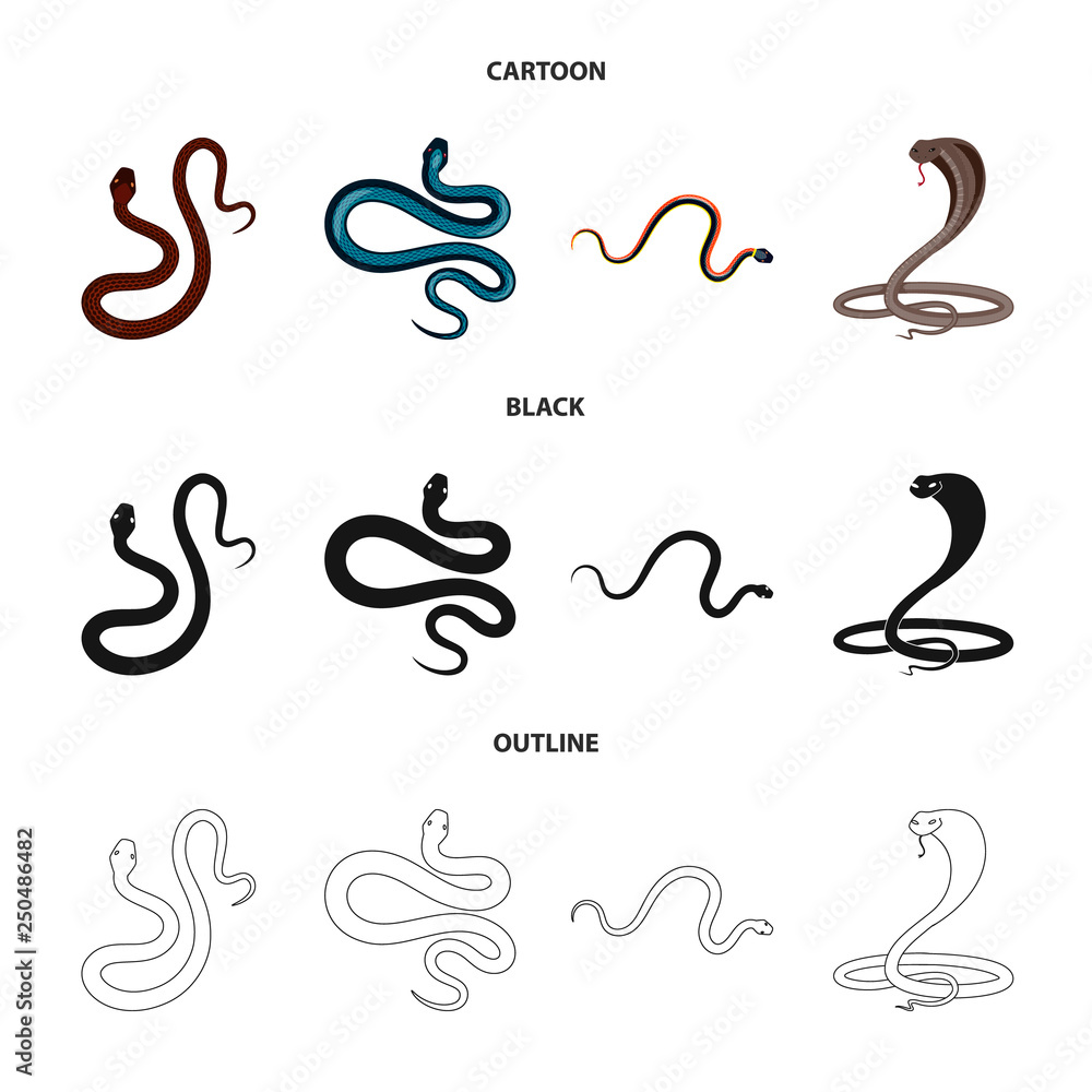 Vector design of mammal and danger icon. Set of mammal and medicine stock vector illustration. Vector design of mammal and danger icon. Set of mammal and medicine stock vector illustration.