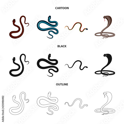 Vector design of mammal and danger icon. Set of mammal and medicine stock vector illustration.