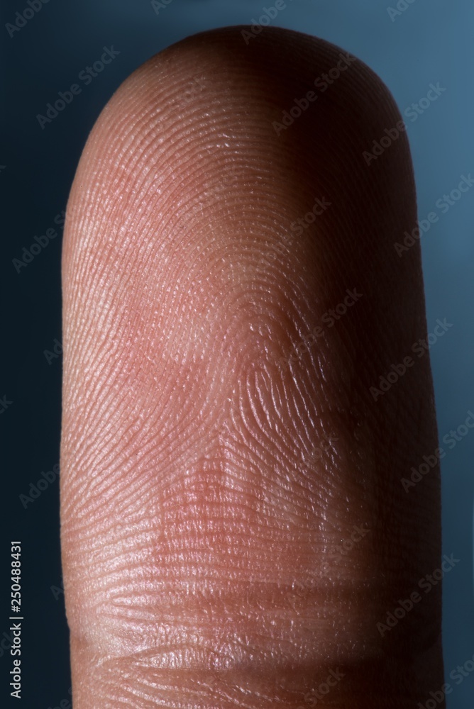 an image of human finger close up an image of human finger close up