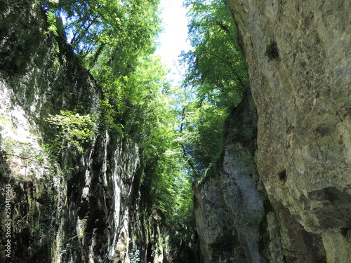 Gorge