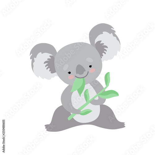 Cute Koala Bear Eating Eucalyptus Leaves  Funny Grey Animal Character Vector Illustration