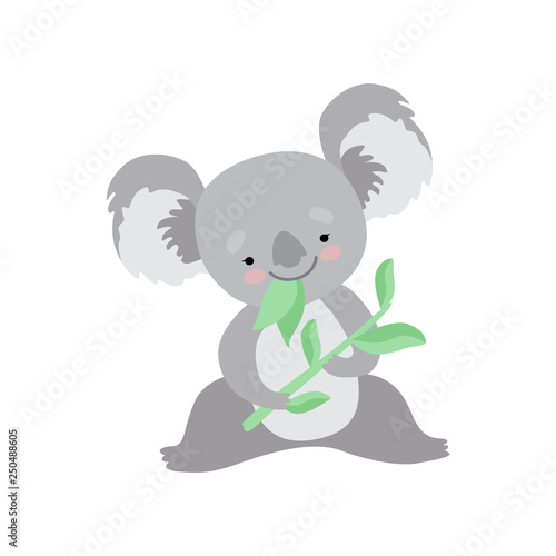 Cute Koala Bear Eating Eucalyptus Leaves, Funny Grey Animal Character Vector Illustration