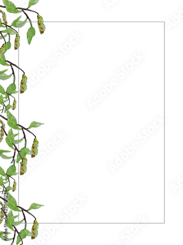 Spring birch branch frame