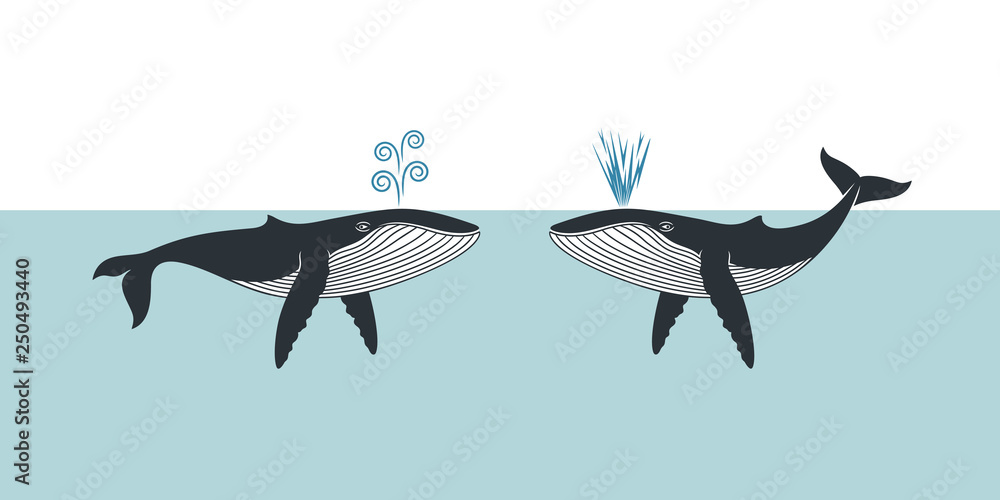 Whale logo. Isolated whale on white background Whale logo. Isolated whale on white background