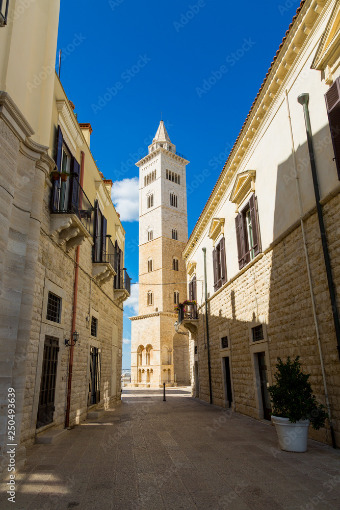 Cathedral tower in the town of Trani, region Puglia, Italy