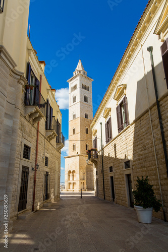 Cathedral tower in the town of Trani  region Puglia  Italy