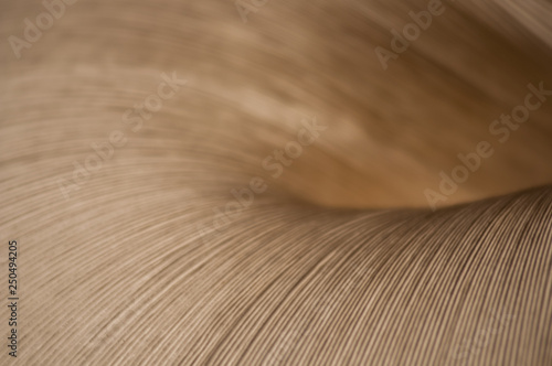 paper lamp, light, shadow, pattern