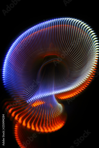 Multicolored twisted ordered parallel lines on a black background. Light in motion. Color abstraction.