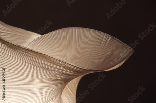 paper lamp, light, shadow, pattern