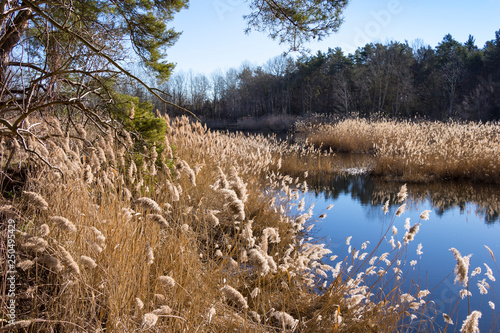 A beautiful day in early spring at a small lake photo