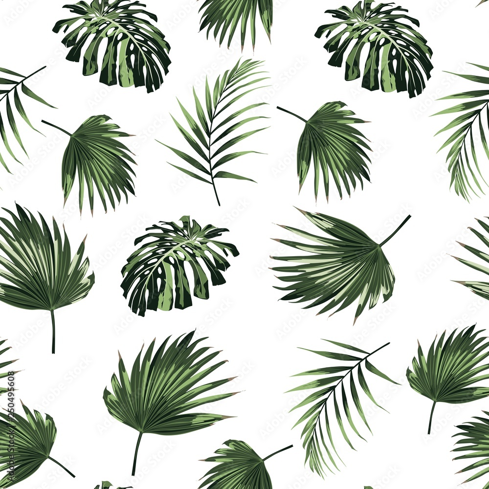 Tropical jungle plants, palm monstera leaves on white background. Beach seamless pattern.