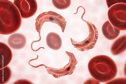 Obraz na plátně Trypanosoma brucei parasites, 3D illustration