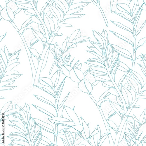 Fototapeta Naklejka Na Ścianę i Meble -  Floral seamless pattern, blue line split-leaf Zamioculcas plant on white background, line art.