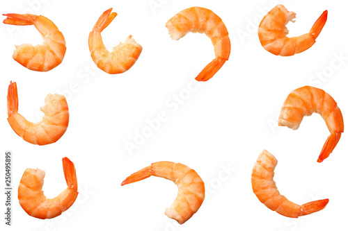 shrimps isolated on a white background. top view