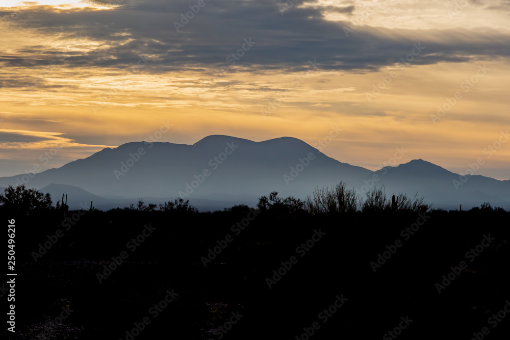 Sunrise over the Sonoran Desert in Arizona