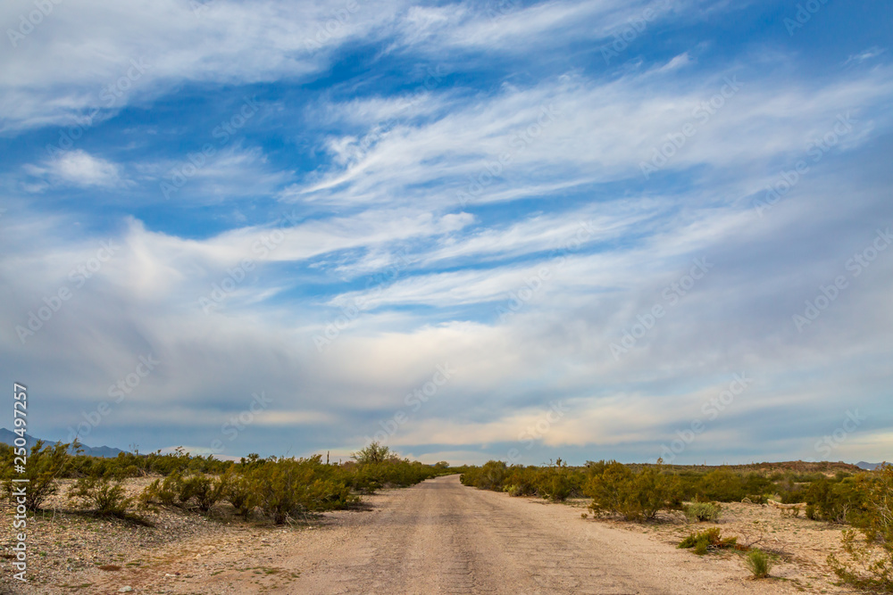 A road through the Sonoran Desert in Arizona