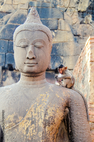 Monkey on Buddha Statue