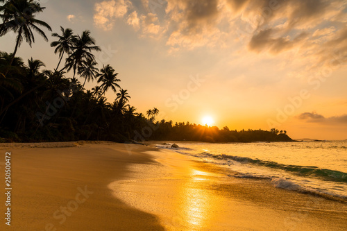 Beautiful sunset on the beach with palms on a Caribbean island