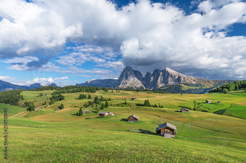 Alpe di Siusi - Seiser Alm with Sassolungo - Langkofel mountain group in background at sunset. Flowers and wooden chalets in Dolomites, Trentino Alto Adige, South Tyrol, Italy, Europe photo