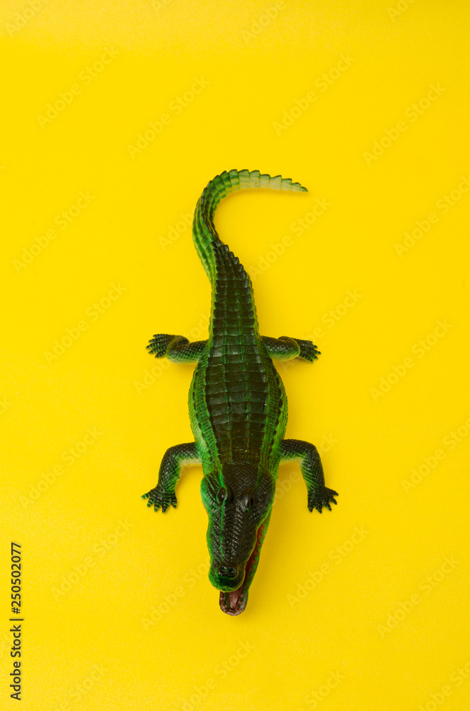 Naklejka premium rubber crocodile toy isolated on yellow background