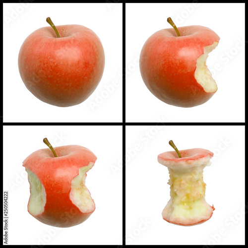 FOUR PICTURE SEQUENCE OF BITES IN RED APPLE