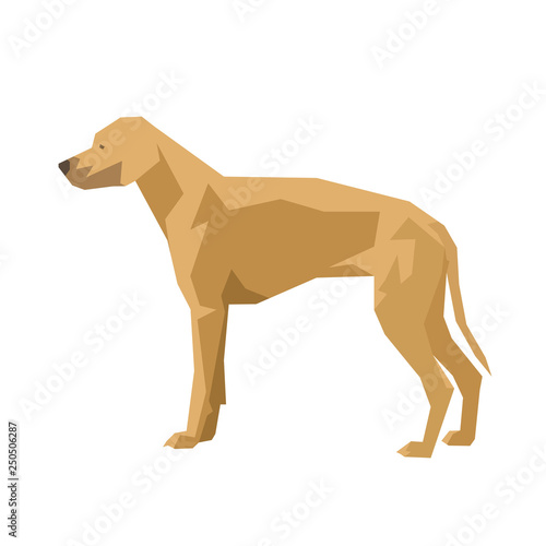 Dog  Rhodesian Ridgeback  isolated geometric vector illustration