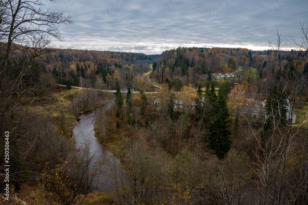 forest river in autumn forest river in autumn