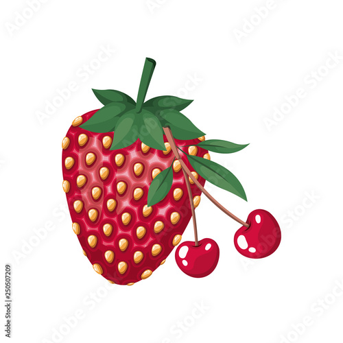strawberry fruit isolated icon