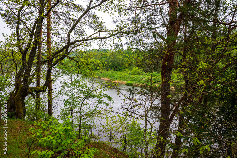 sandstone cliffs on the shore of forest river sandstone cliffs on the shore of forest river