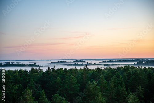 colorful sunrise sunset in misty summer meadow