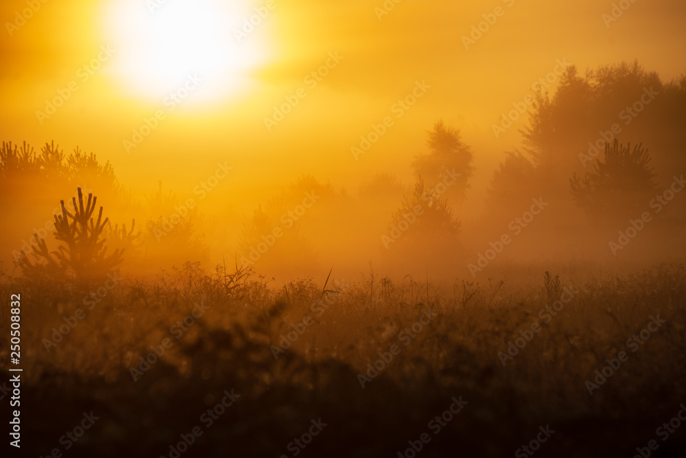 colorful sunrise sunset in misty summer meadow colorful sunrise sunset in misty summer meadow