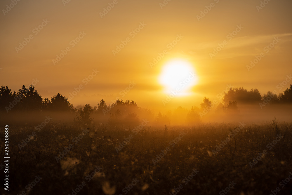 colorful sunrise sunset in misty summer meadow
