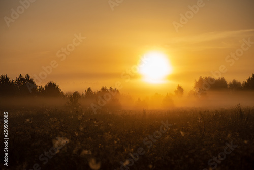 colorful sunrise sunset in misty summer meadow © Martins Vanags
