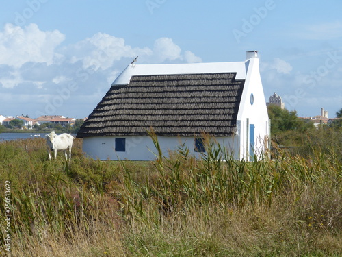 Camargue-Haus mit Pferd