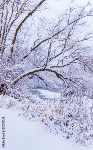 Sticky Day of Winter