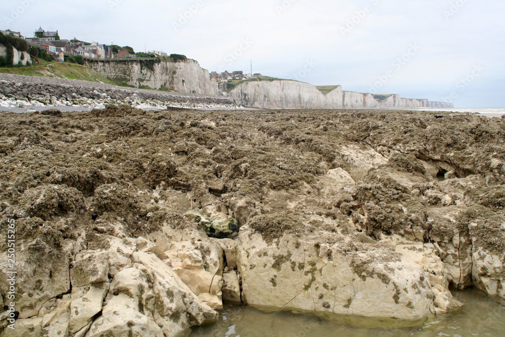 Beach life at the Village of Ault in Normandy