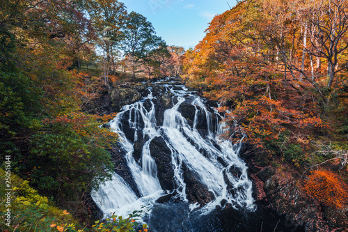 Fototapeta Naklejka Na Ścianę i Meble -  Swallow Falls at Autumn in Snowdonia National Park, UK