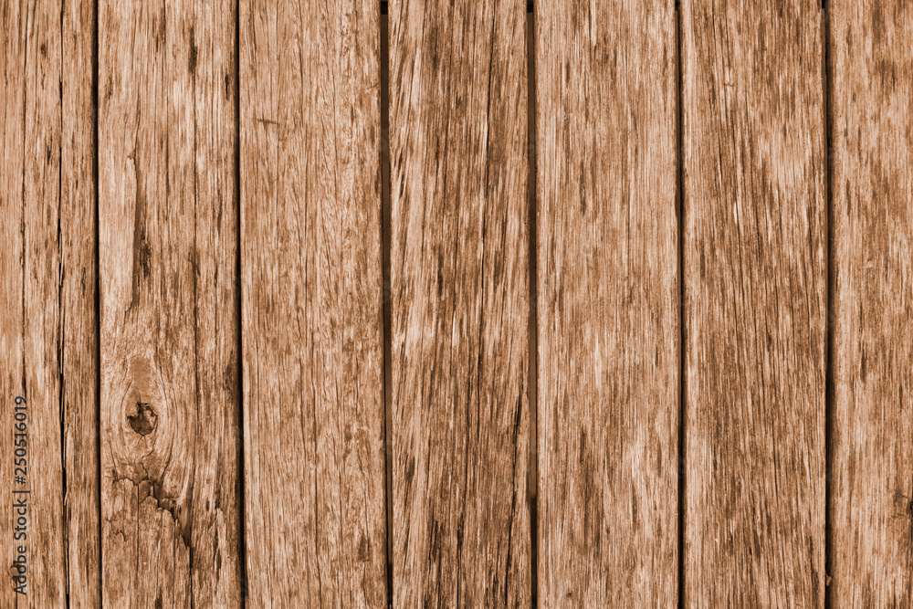 Fototapeta premium Wood background