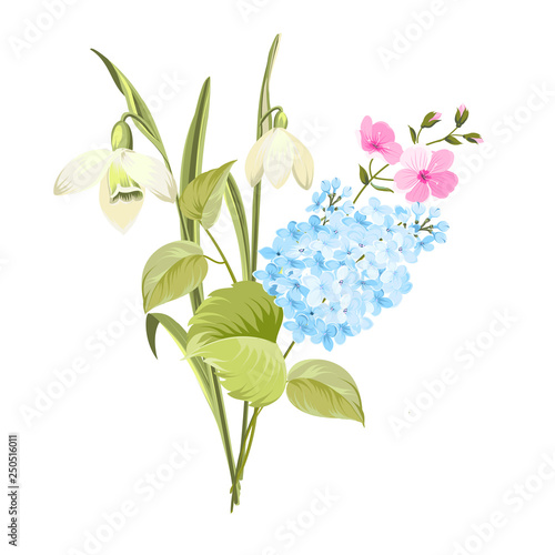 Purple Lilac flowers of syringa and white galanthus. Botanical illustration for spring bouquet. Spring time concept card with blooming flowers isolated over white background. Vector illustration.