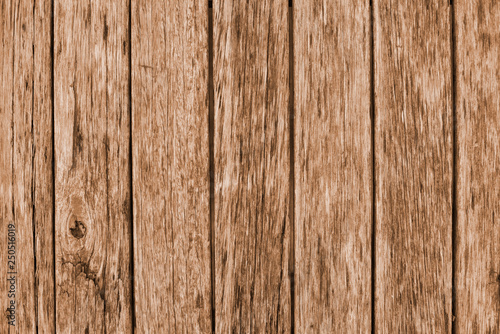 Wood background © Sintia