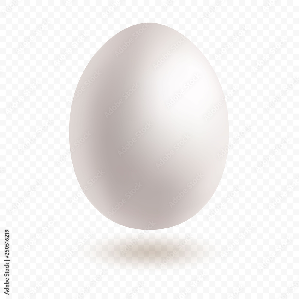 White egg with nice shadows isolated on transparent background. Easter, new life symbol. White egg with nice shadows isolated on transparent background. Easter, new life symbol.