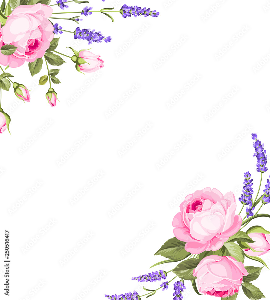 Spring flowers bouquet of color bud garland. Label of lavender with rose flowers. Vector illustration. Spring flowers bouquet of color bud garland. Label of lavender with rose flowers. Vector illustration.